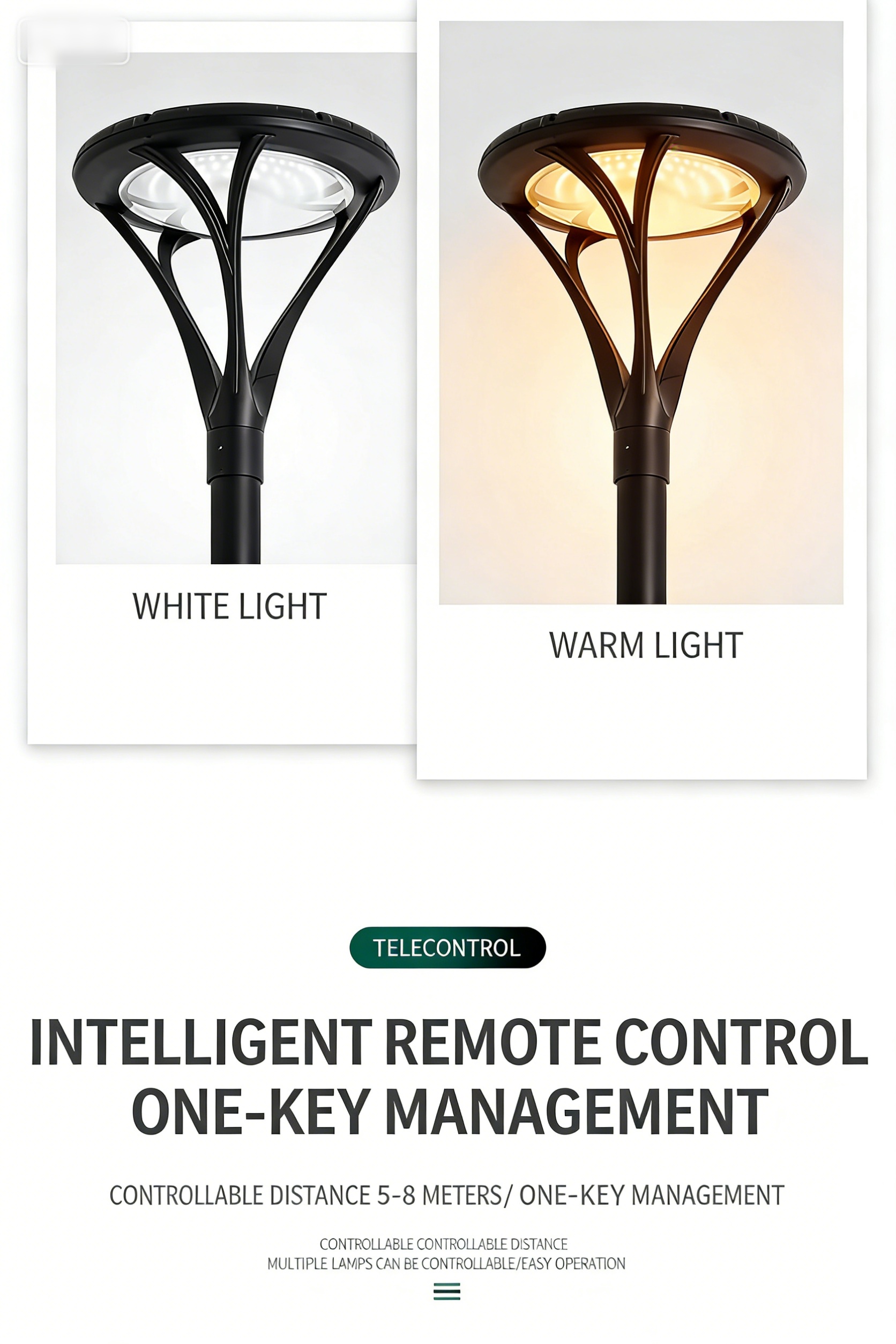 Cross-border solar street light, LED outdoor lighting, park landscape light, outdoor waterproof 3-meter solar courtyard light - Image 7